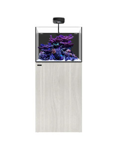 copia de copia de copia de WATERBOX Cube 20- Aquarium 76 L
