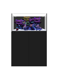 copia de copia de copia de copia de copia de WATERBOX Cube 20- Aquarium 76 L