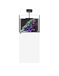copia de copia de copia de copia de copia de copia de copia de copia de copia de copia de WATERBOX Cube 20- Aquarium 76 L