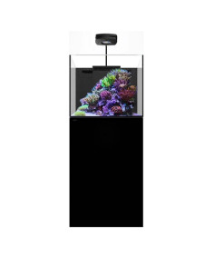 copia de copia de copia de copia de copia de copia de copia de copia de copia de copia de copia de WATERBOX Cube 20- Aquarium 76