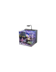 copia de AQUA MEDIC Armatus XS - Micro aquarium