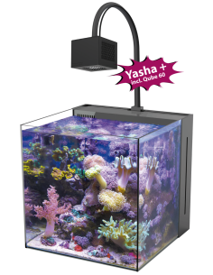 copia de copia de AQUA MEDIC Armatus XS - Micro aquarium