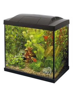SF START 30 TROPICAL KIT NOIR