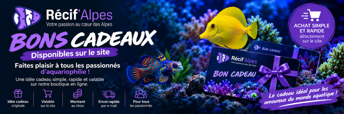Chèques Cadeaux