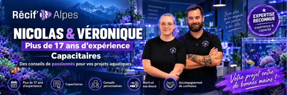 Nicolas et véronique 