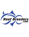 Logo ReefBreeders