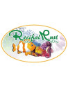 Logo Recifal Must