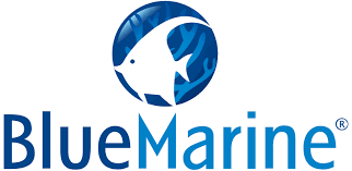 BlueMarine